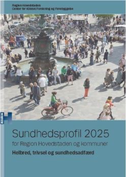 Sundhedsprofil rapport billede 